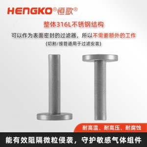 擴(kuò)散器過濾器_儀器保護(hù)專用過濾器_工藝潔凈過濾器