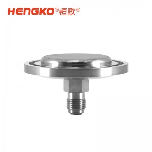 供應(yīng)半導(dǎo)體大宗氣體終端晶圓制程工藝氣體全金屬氣體過(guò)濾器